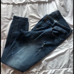 Torrid Jeans